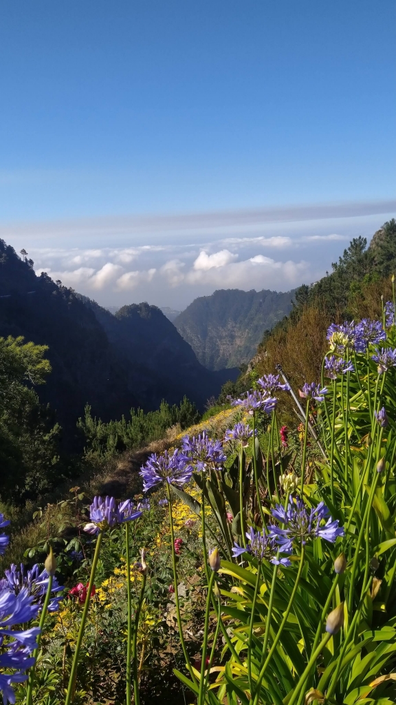 Madeira