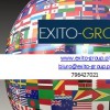 Exito Group