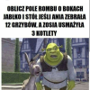 Monika Kmita