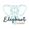 Elephant academy