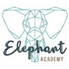 Elephant Academy