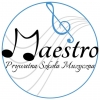 Prywatna Szkoła Muzyczna Maestro