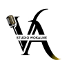 Vocal Art Studio Wokalne