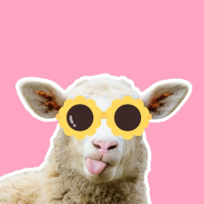 Ola Paprocka