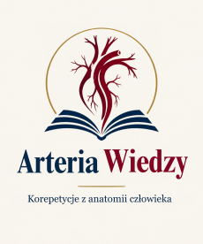 Arteria Wiedzy
